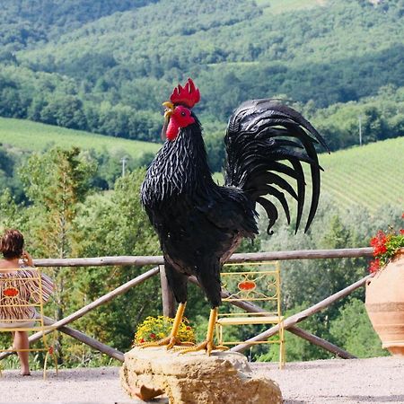 Agriturismo Borgo Il Bonagino ラッダ・イン・キアンティ エクステリア 写真