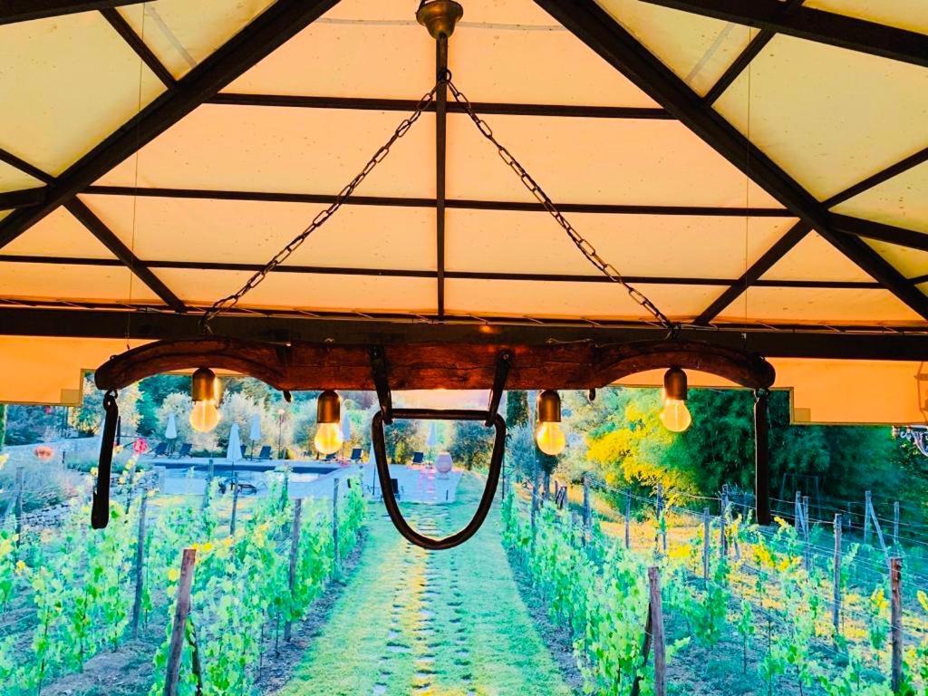 Agriturismo Borgo Il Bonagino ラッダ・イン・キアンティ エクステリア 写真