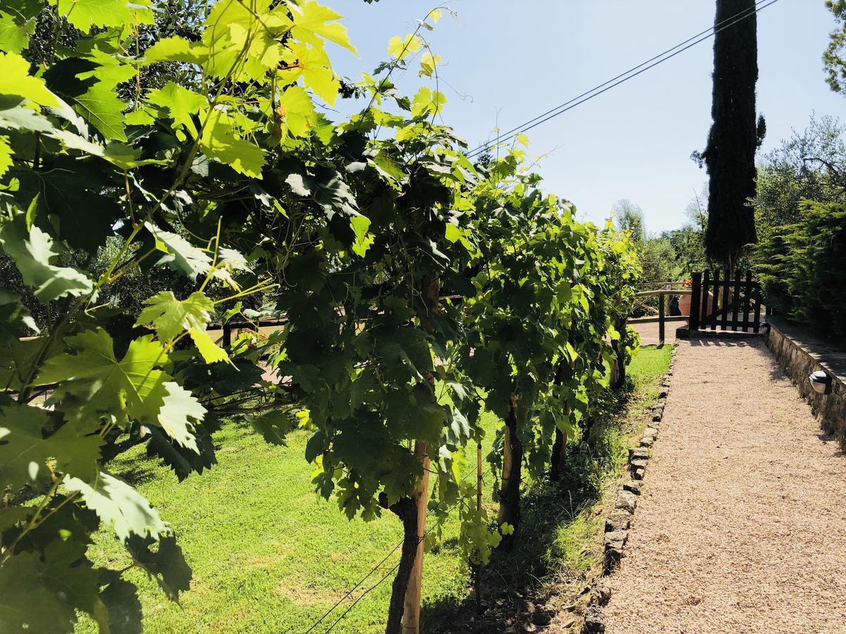 Agriturismo Borgo Il Bonagino ラッダ・イン・キアンティ エクステリア 写真